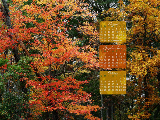 403319 (a): :1600x1200